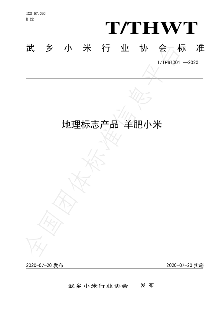 T/THWT 001-2020 标准预览