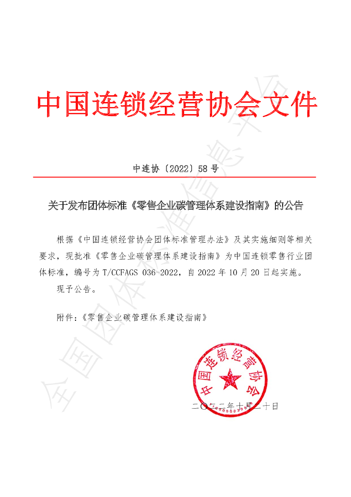 T/CCFAGS 036-2022 标准预览