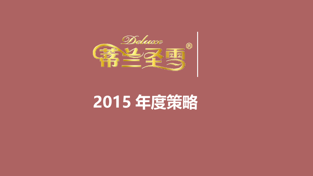 2015年蒂兰圣雪品牌策略