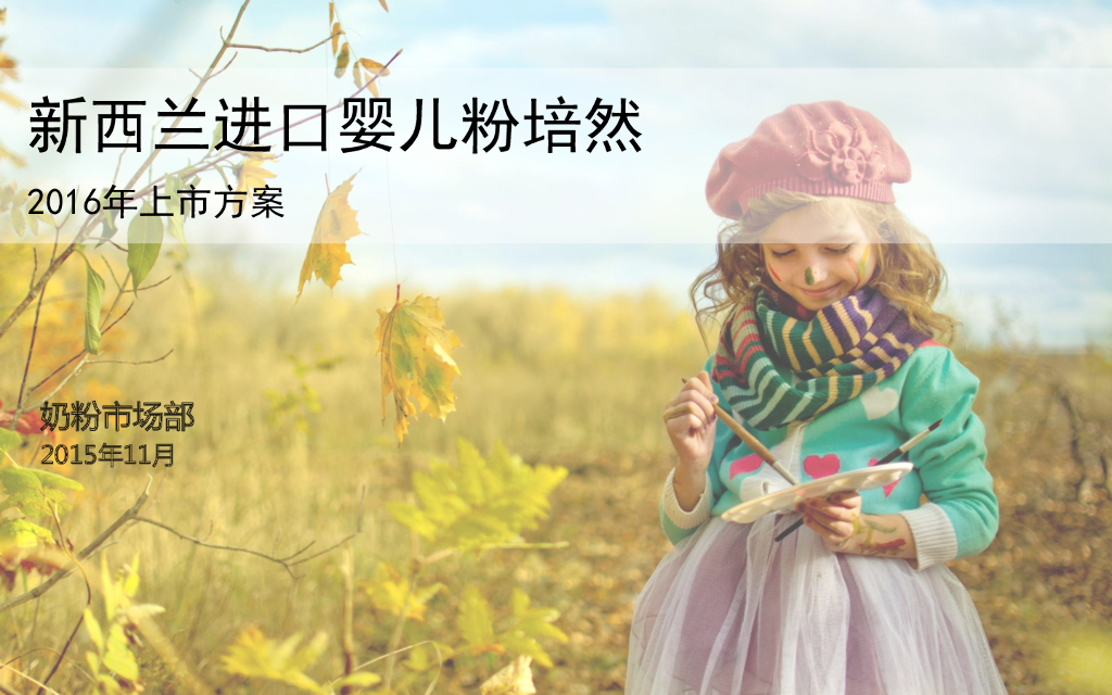 2016培然上市方案