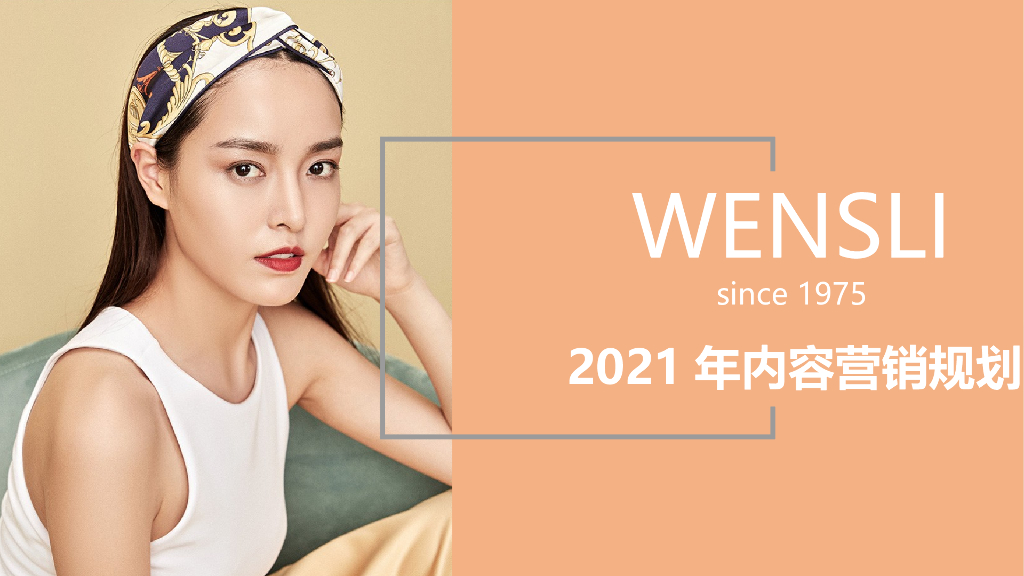 万事利全年规划方案