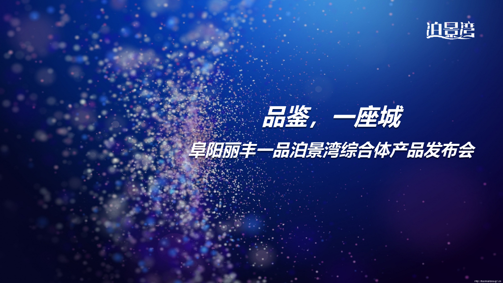 2017阜阳丽丰一品泊景湾综合体产品发布会策划案