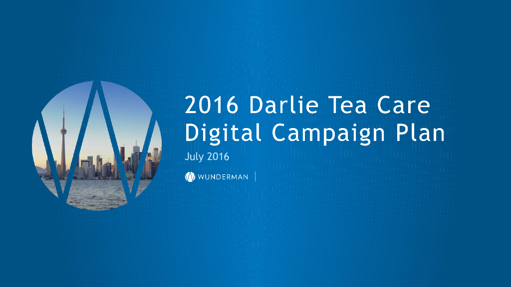 2016黑人牙膏策划方案