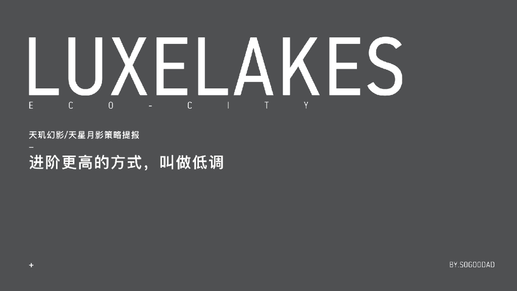 2017麓湖天星月影年度推广方案