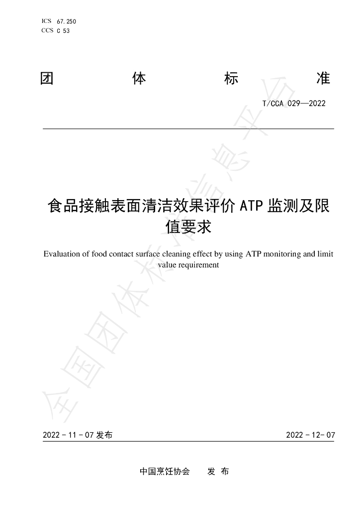 T/CCA 029-2022 标准预览