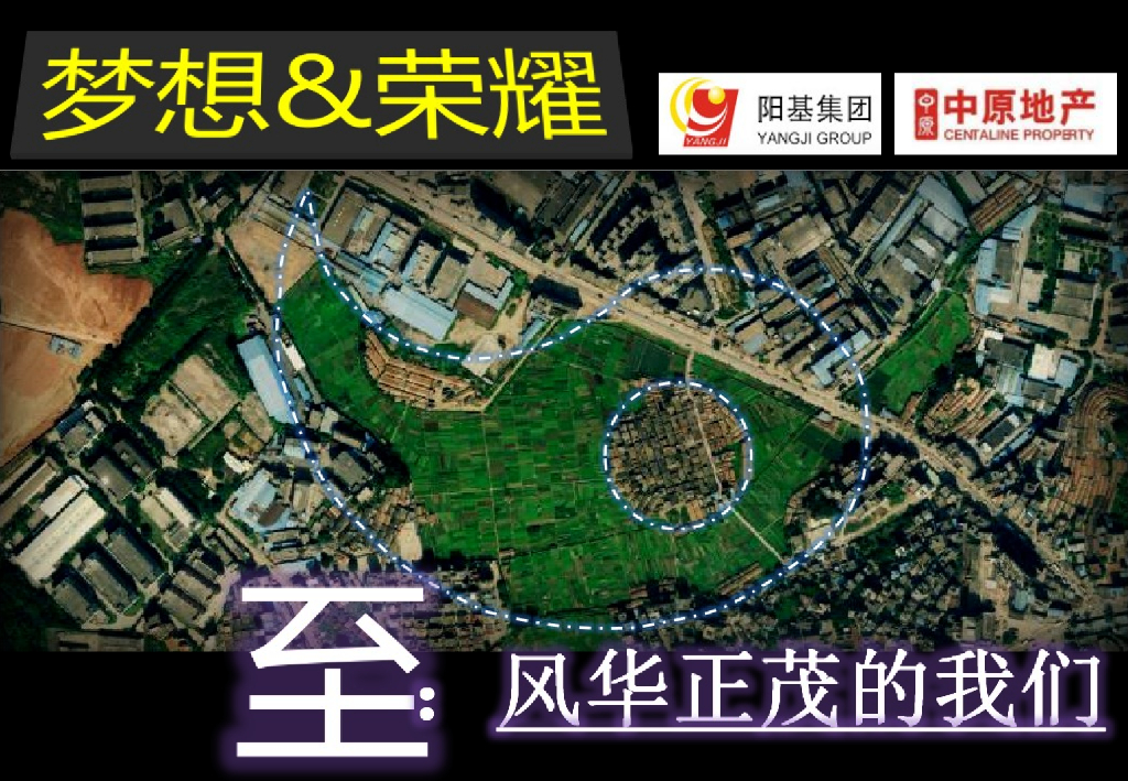 2017观澜阳基项目发展策略思考