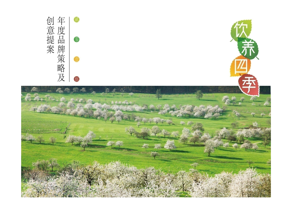 2016冰糖雪梨年度传播策略及创意