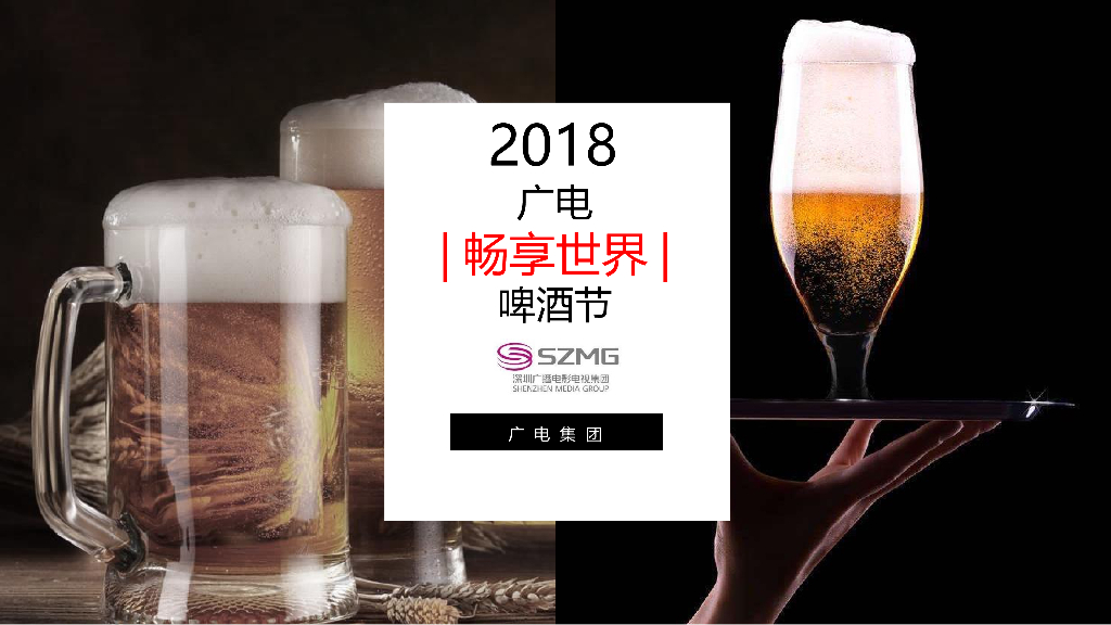 2018广电畅享世界啤酒节策划案