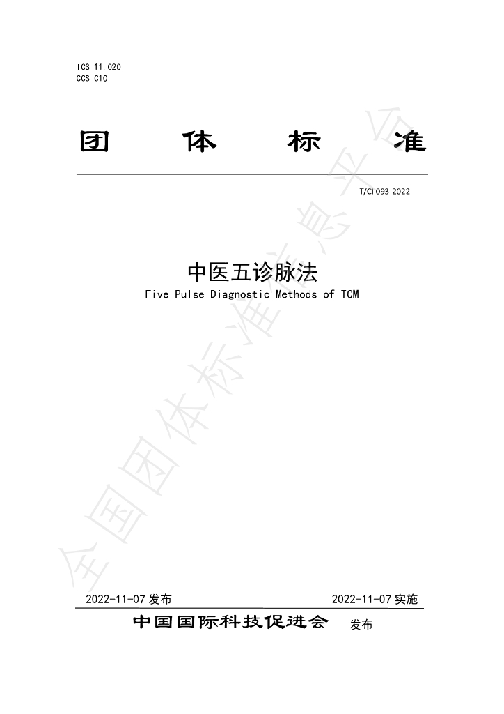 T/CI 093-2022 标准预览