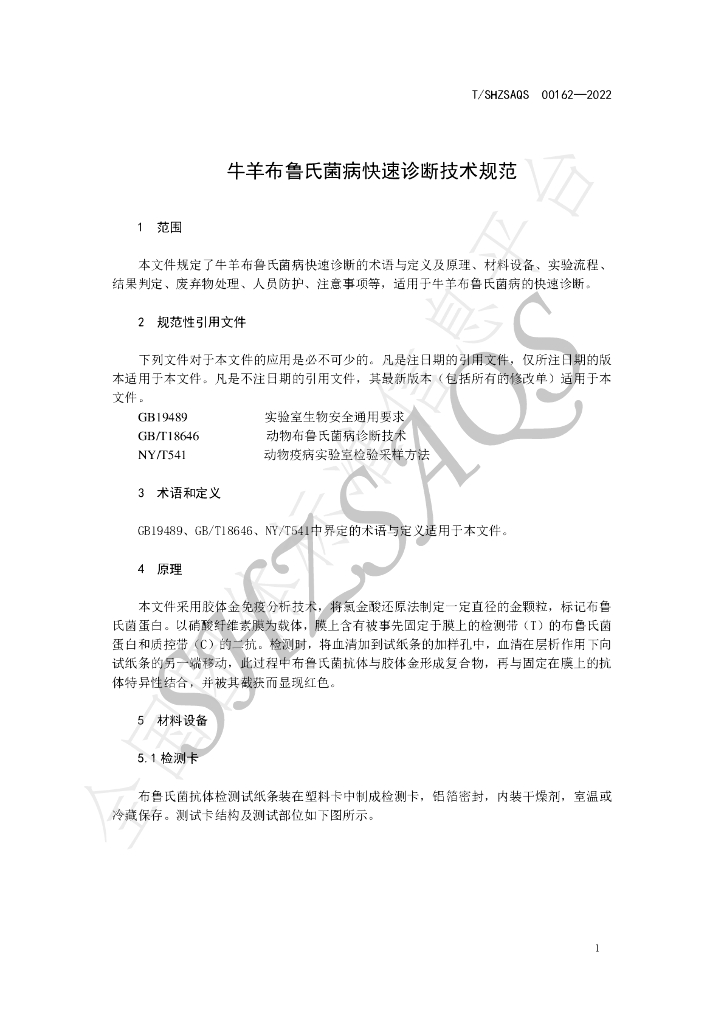 T/SHZSAQS 0162-2022 标准预览