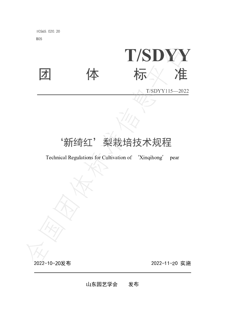 T/SDYY 115-2022 标准预览