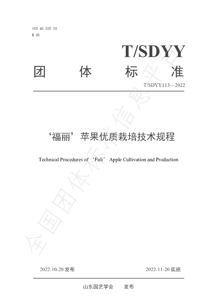 T/SDYY 113-2022 标准预览