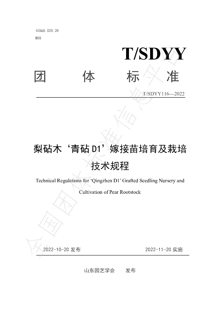T/SDYY 116-2022 标准预览