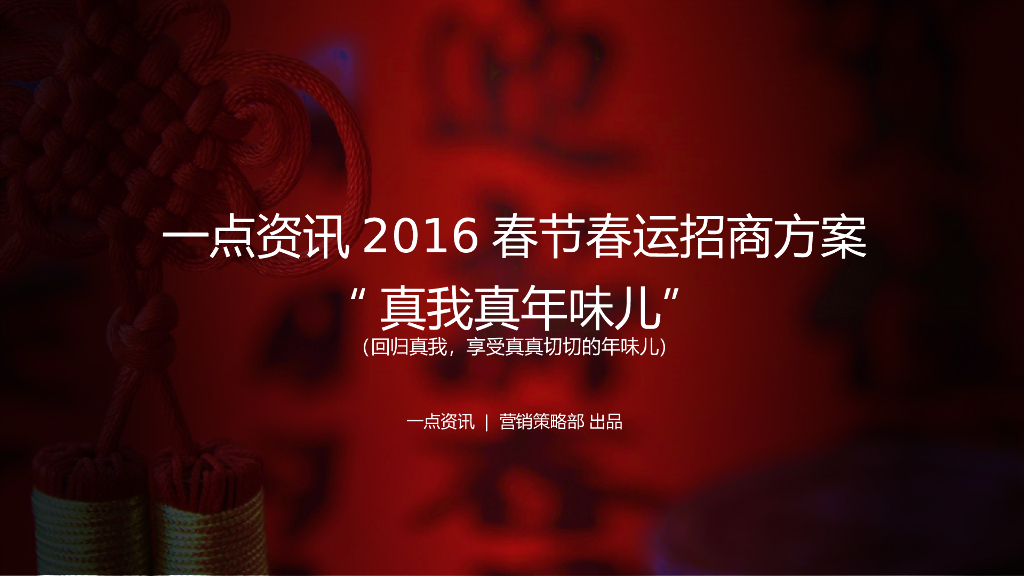 2016一点资讯春节春运招商方案