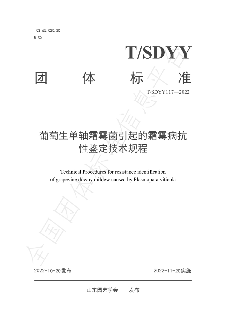 T/SDYY 117-2022 标准预览