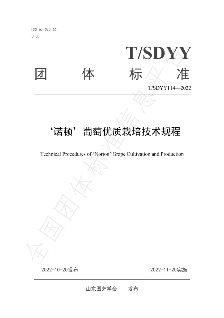 T/SDYY 114-2022 标准预览