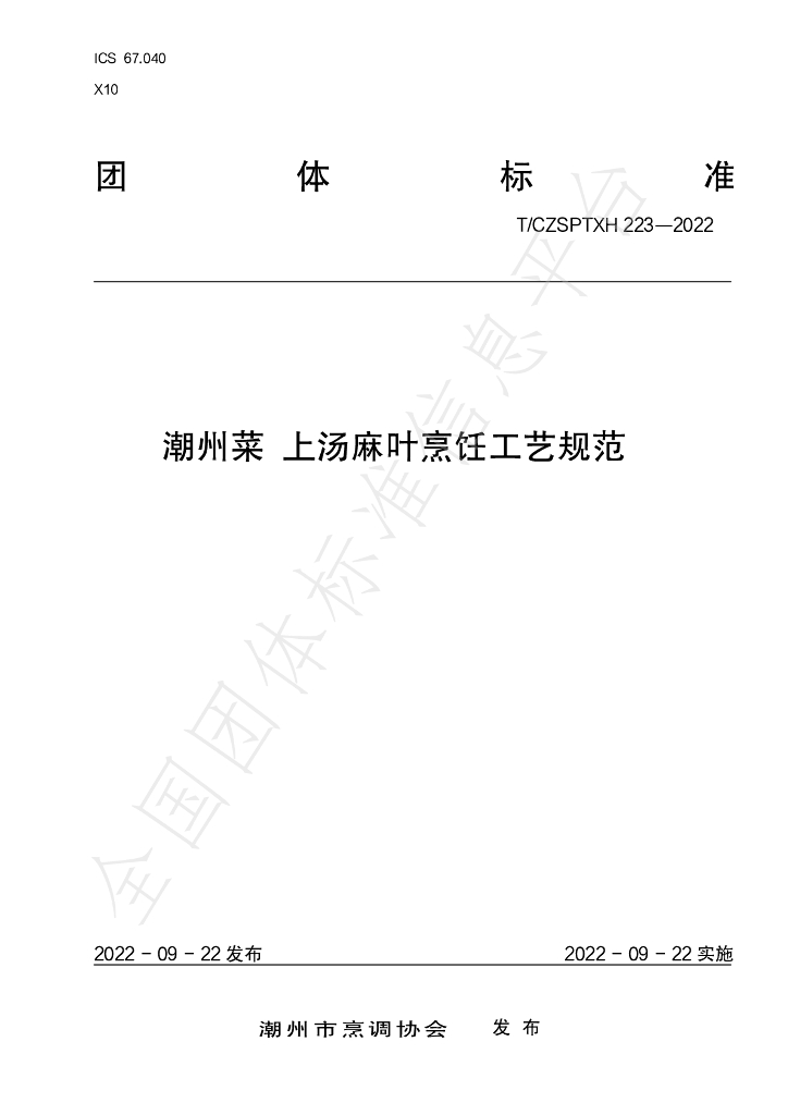 T/CZSPTXH 223-2022 标准预览