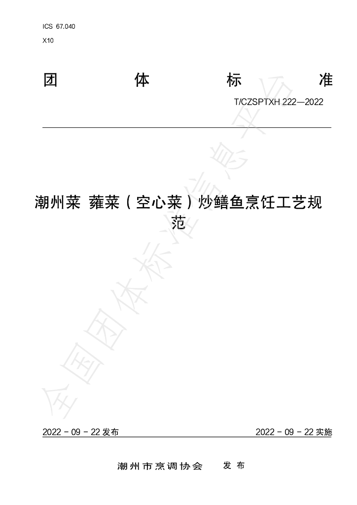 T/CZSPTXH 222-2022 标准预览