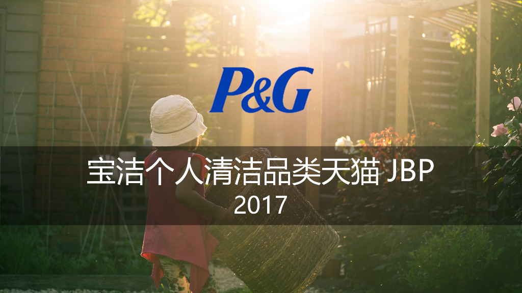 2017宝洁个人清洁品类天猫JBP