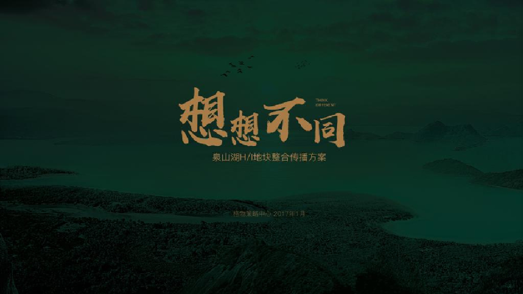 2017泉山湖·纳维亚2017年度推广方案-格物传播