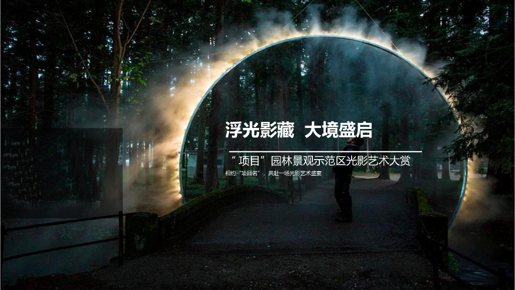2020地产项目园林景观示范区开放暨光影艺术大赏活动策划方案