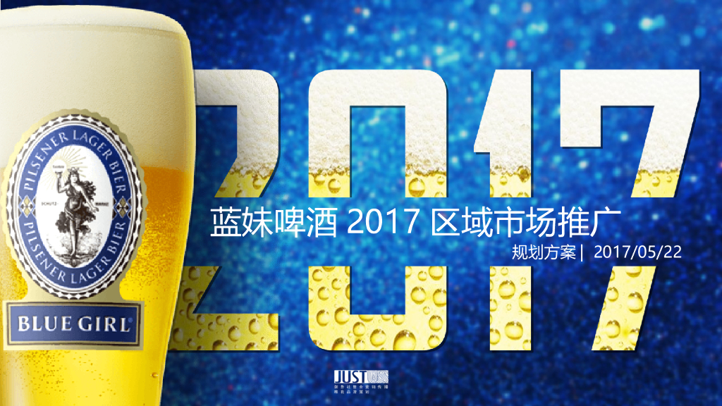 2017蓝妹啤酒产品区域市场动销规划方案
