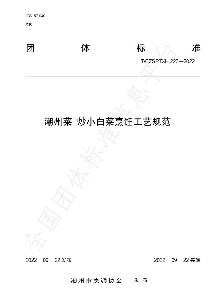 T/CZSPTXH 226-2022 标准预览