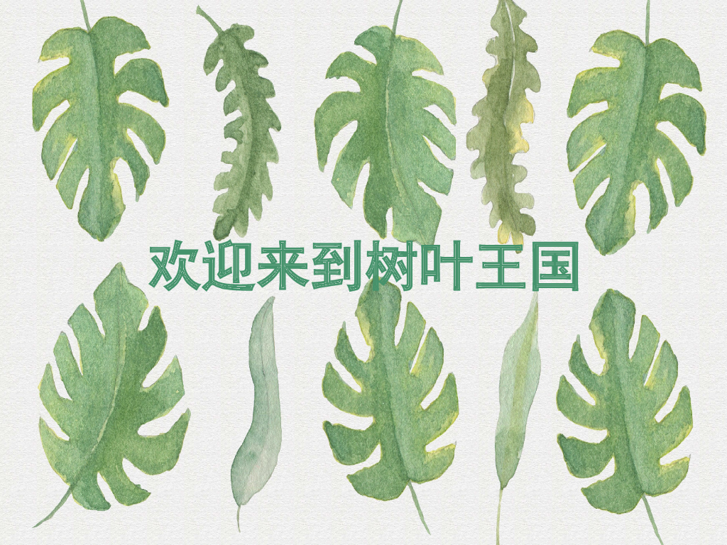 人美版美术一年级上册第1课《让大家认识我》课件15