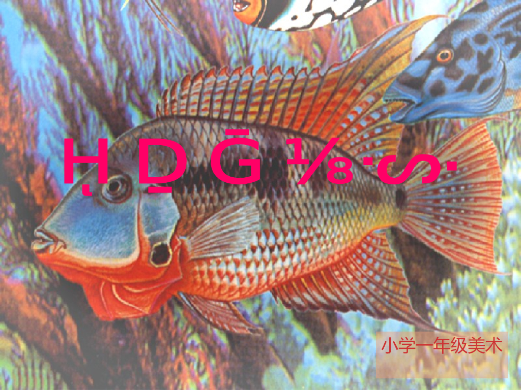 人美版美术一年级上册第17课《谁画的鱼最大》课件76