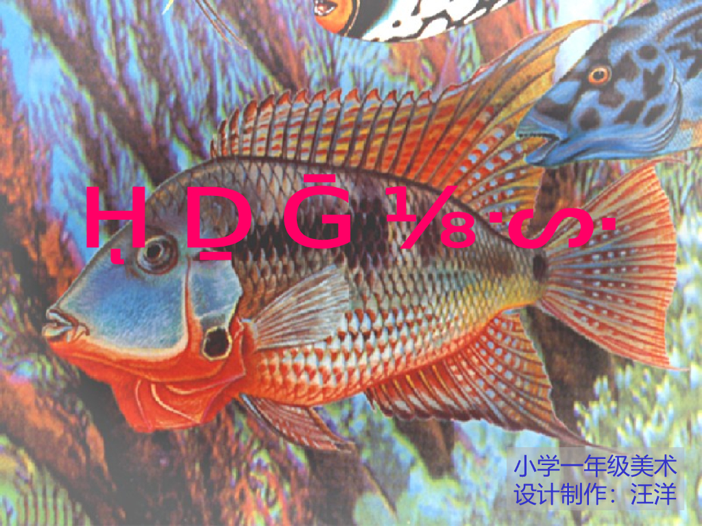 人美版美术一年级上册第17课《谁画的鱼最大》课件74