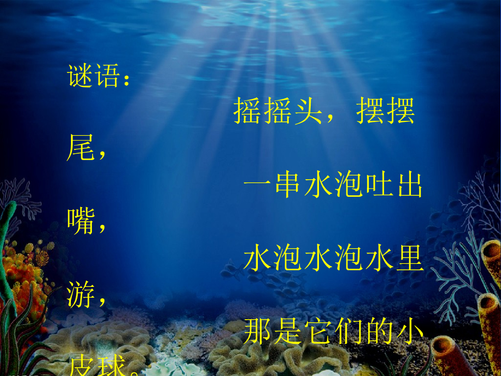 人美版美术一年级上册第17课《谁画的鱼最大》课件23