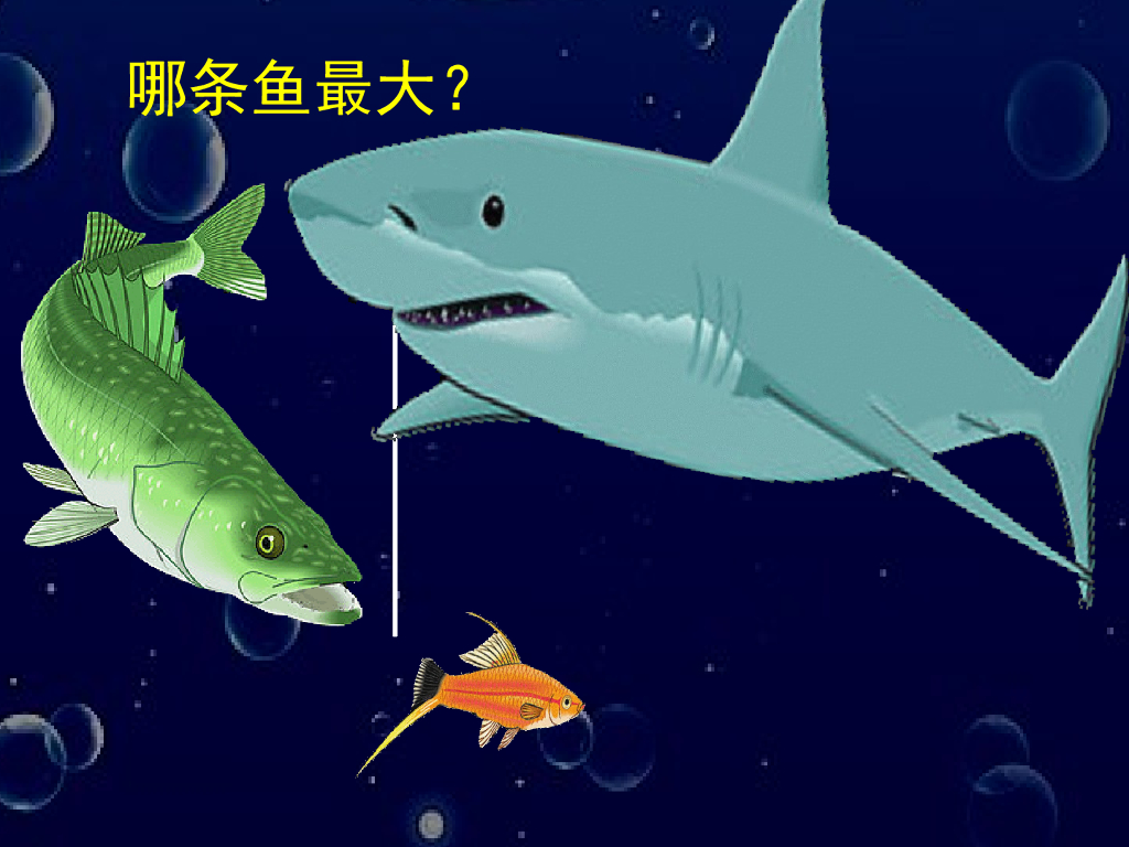 人美版美术一年级上册第17课《谁画的鱼最大》课件1