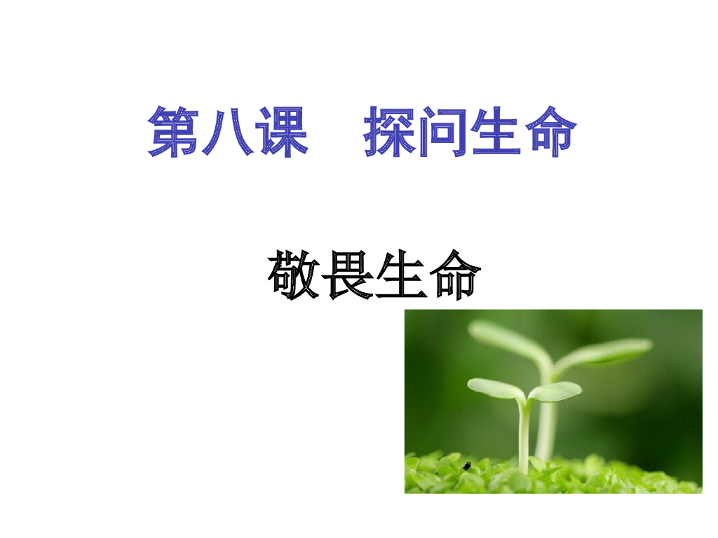 七年级上册 初中道德与法治第八课 敬畏生命（课件）