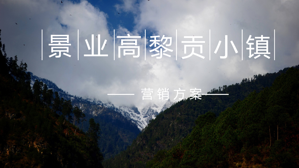 2020地产项目开盘活动策划方案