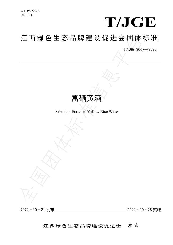T/JGE 3007-2022 标准预览