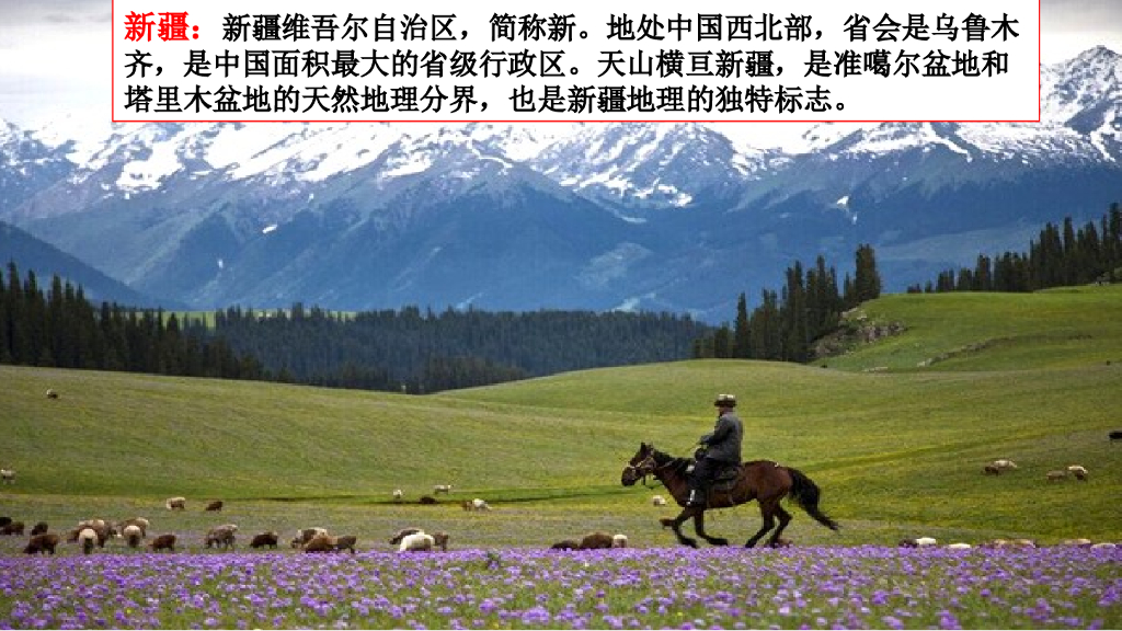 一年级语文下册链接2：新疆