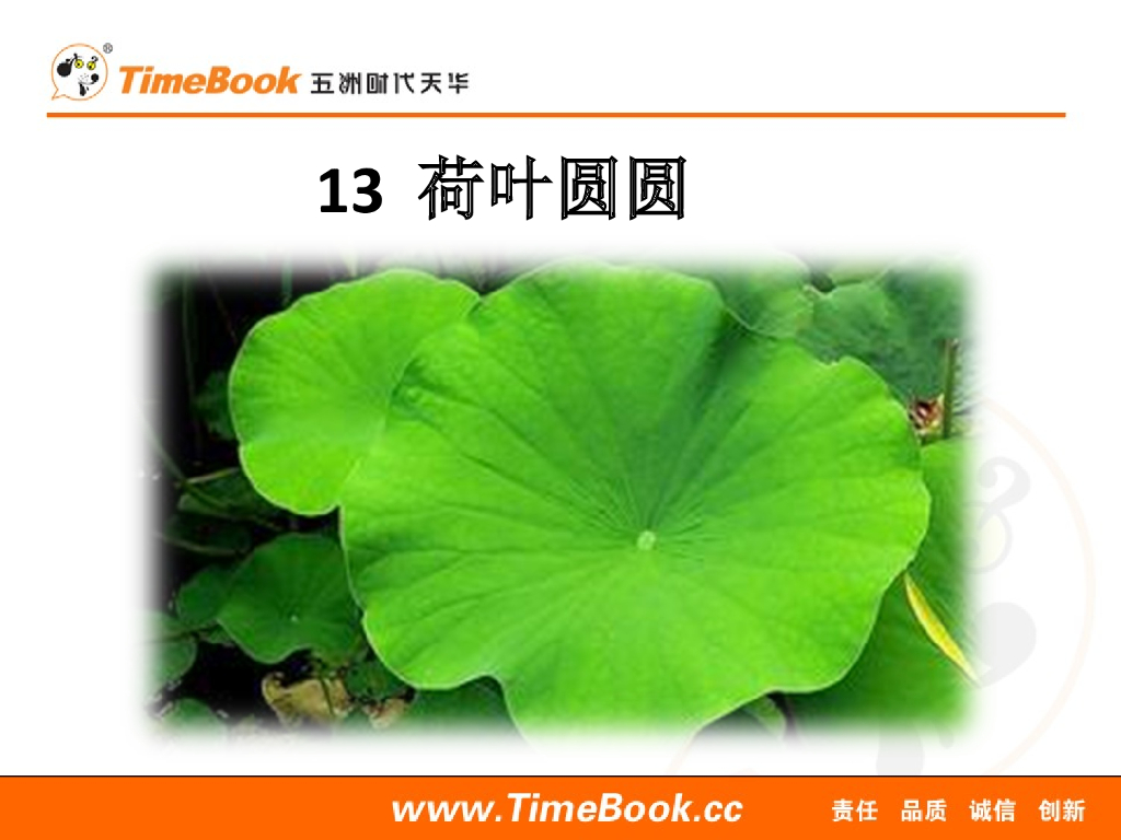 一年级语文下册13 荷叶圆圆