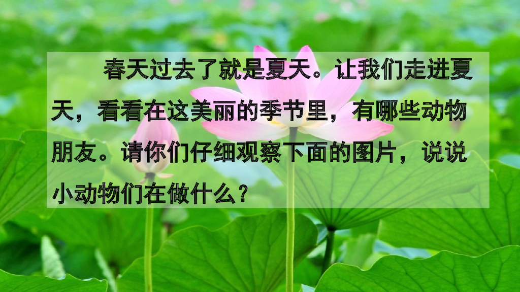 部编版一年级语文下册识字5 动物儿歌