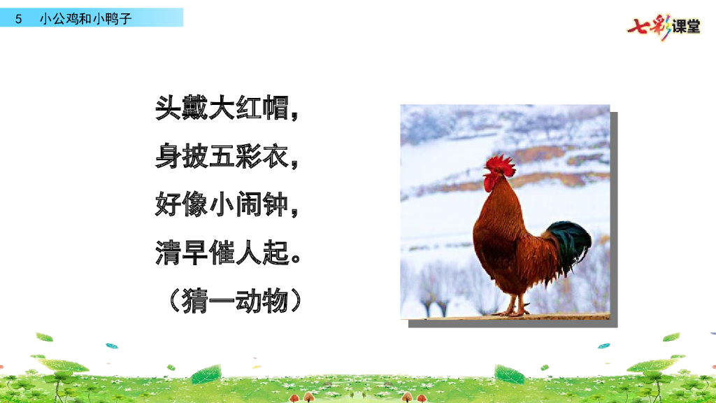 部编版一年级语文下册5 小公鸡和小鸭子
