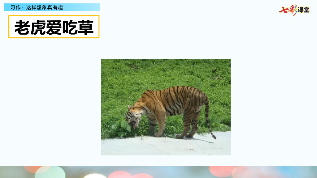 部编版三年级语文下册习作：这样想象真有趣_第7页