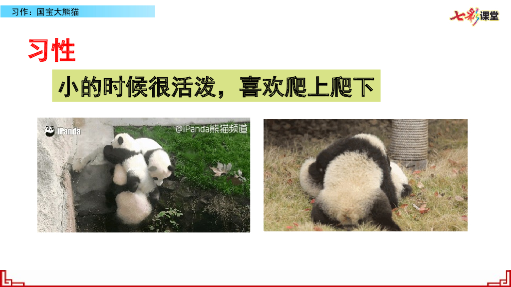 部编版三年级语文下册习作：国宝大熊猫_第10页