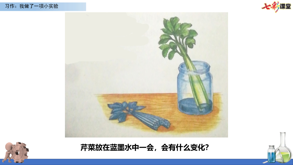 部编版三年级语文下册习作：我做了一项小实验_第6页