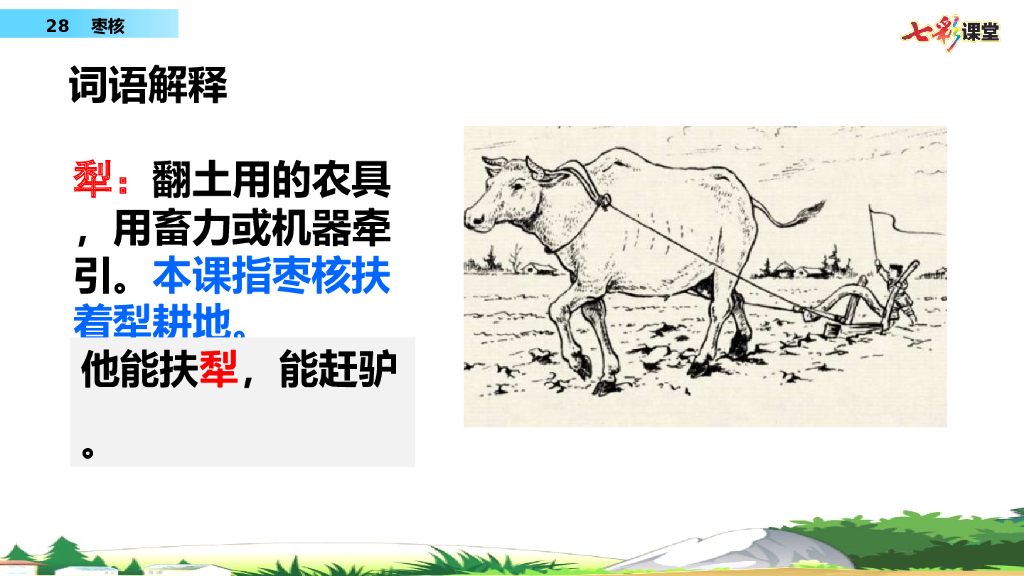 部编版三年级语文下册28 枣核_第9页
