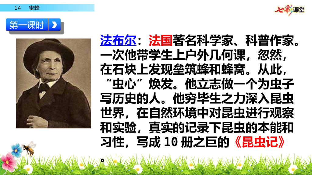 部编版三年级语文下册14 蜜蜂_第6页