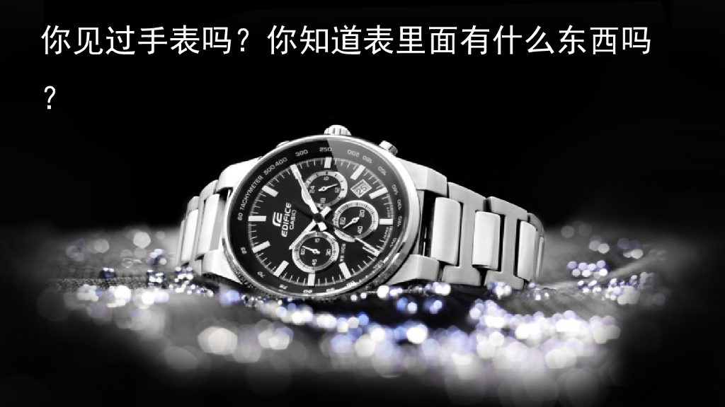 部编版六年级语文下册16 表里的生物