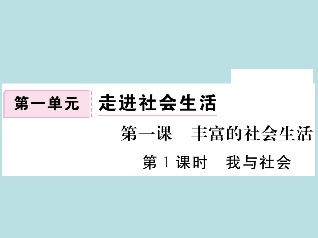 2021部编人教版八年级道德与法治上册习题讲评课件：1.1我与社会