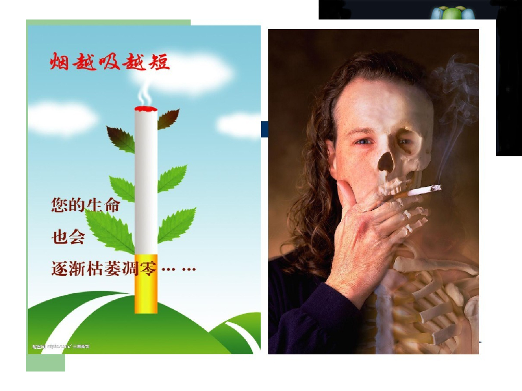 五年级上册道德与法治课件 3.主动拒绝烟酒与毒品 部编版_第6页
