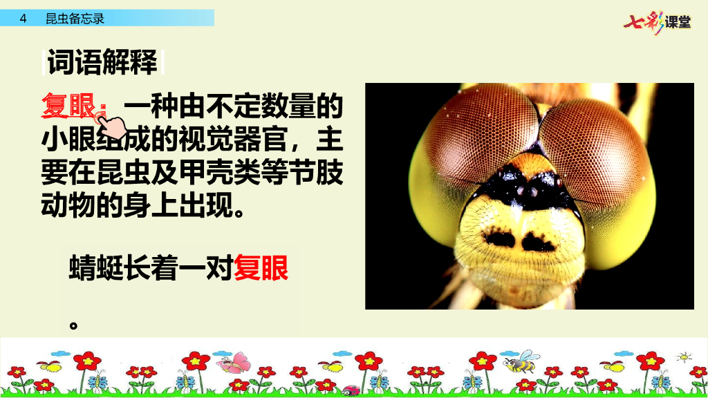 部编版三年级语文下册4 昆虫备忘录_第9页