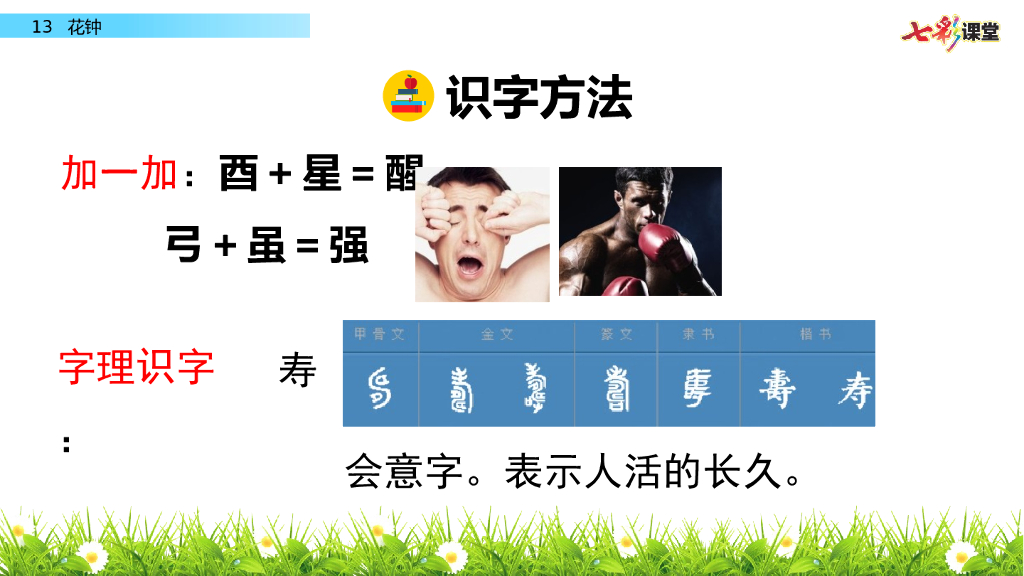 部编版三年级语文下册13 花钟_第8页