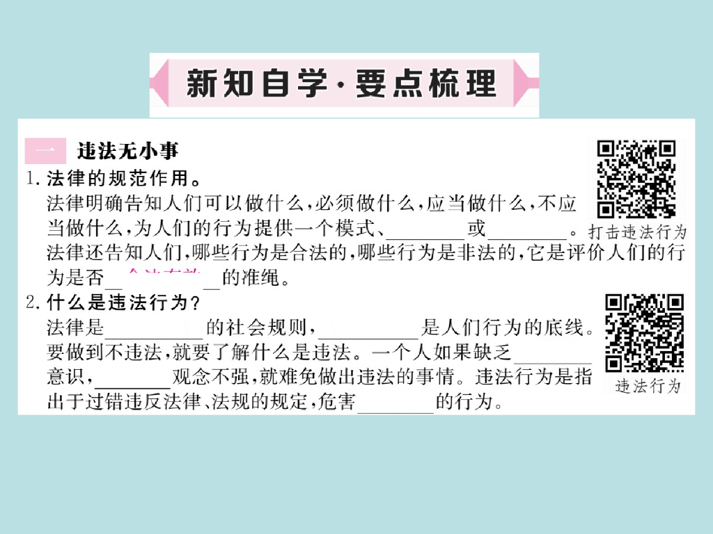 2021部编人教版八年级道德与法治上册习题讲评课件：5.1法不可违